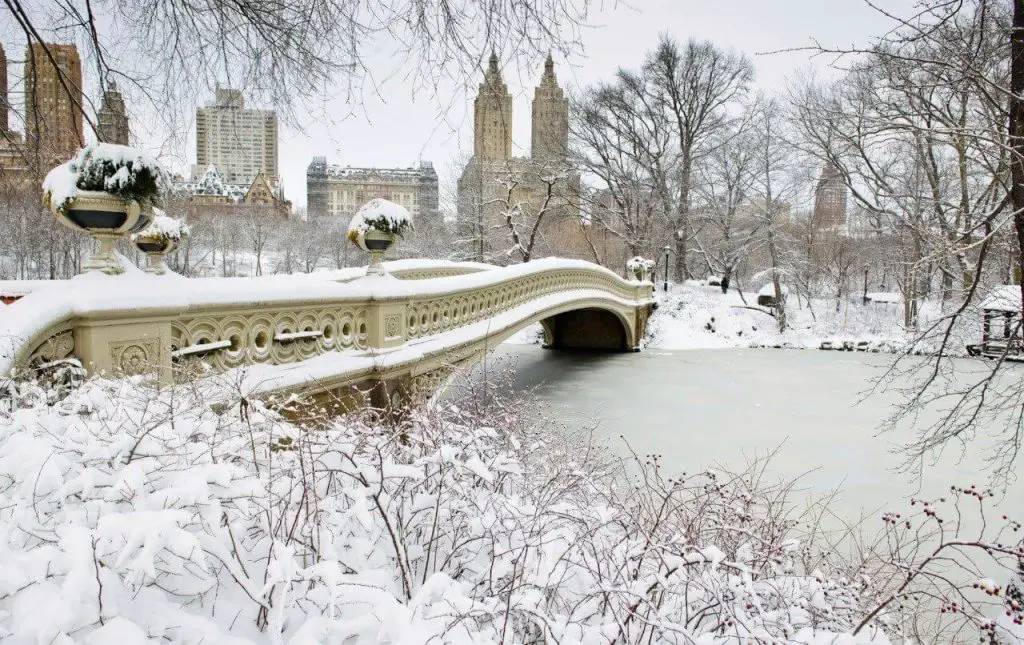 central park new york winter