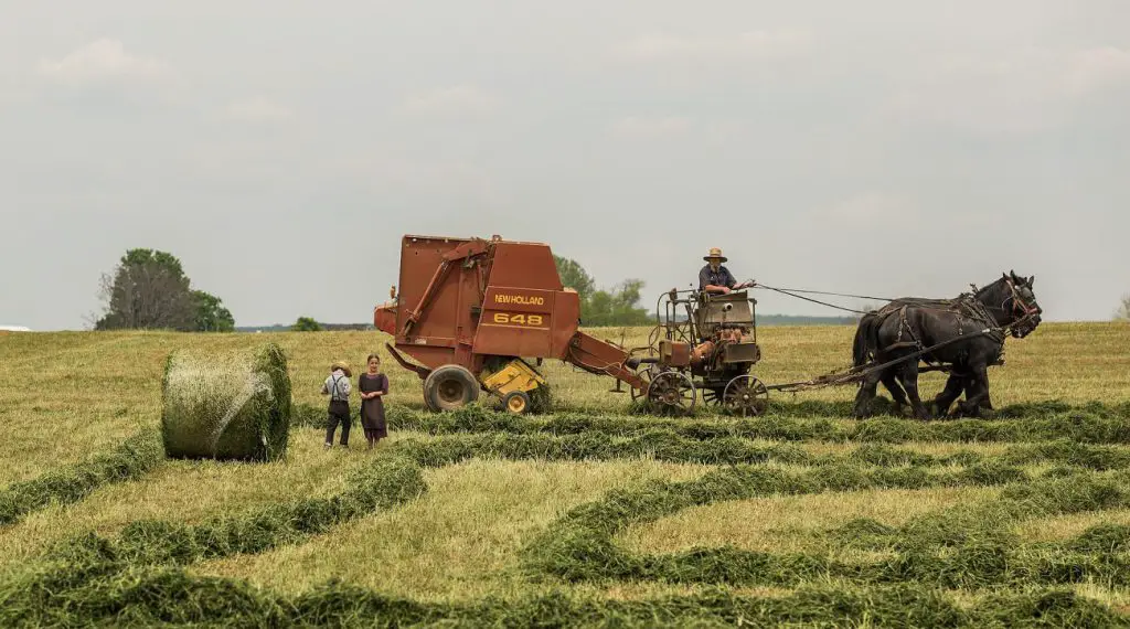 Farm Family Photoshoot