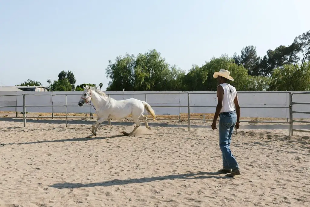 Read your horse's body language