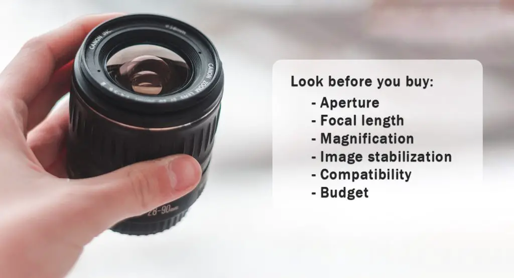 What to look for before buying a camera lens