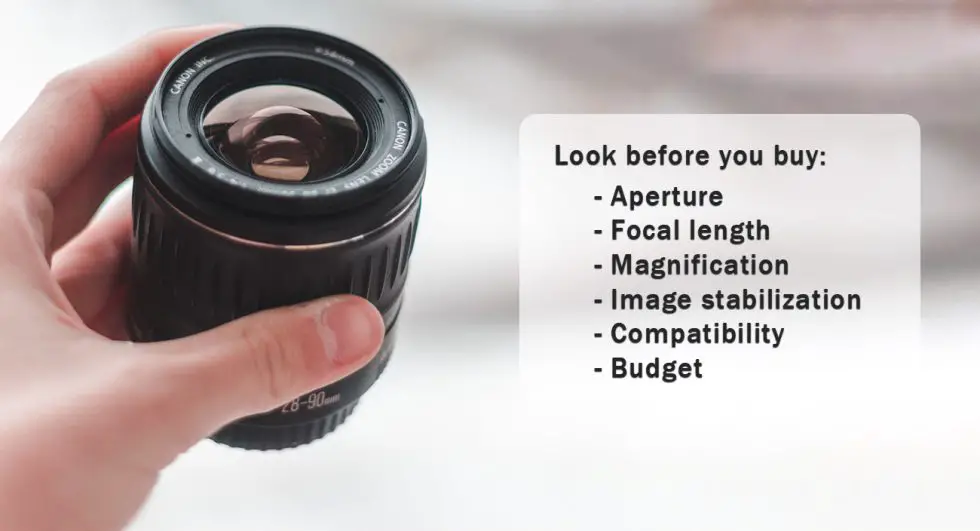 What are Best Lens for CloseUp Shots? Review of Best Lenses